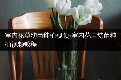 室内花草幼苗种植视频-室内花草幼苗种植视频教程