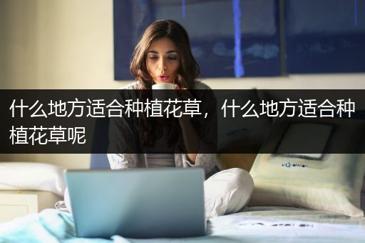什么地方适合种植花草，什么地方适合种植花草呢