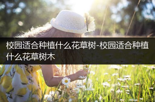 校园适合种植什么花草树-校园适合种植什么花草树木