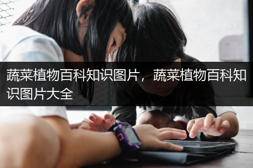 蔬菜植物百科知识图片，蔬菜植物百科知识图片大全