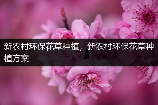 新农村环保花草种植，新农村环保花草种植方案