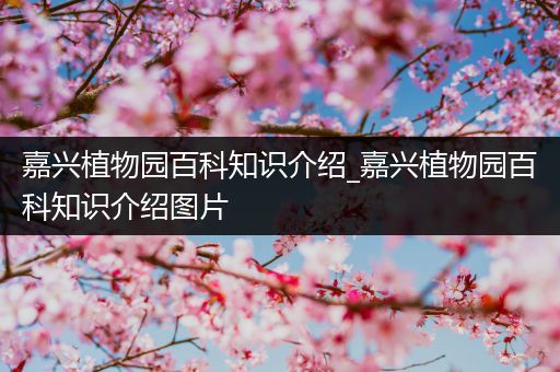 嘉兴植物园百科知识介绍_嘉兴植物园百科知识介绍图片