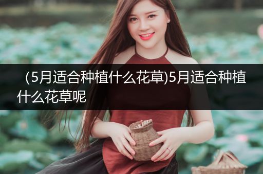 （5月适合种植什么花草)5月适合种植什么花草呢