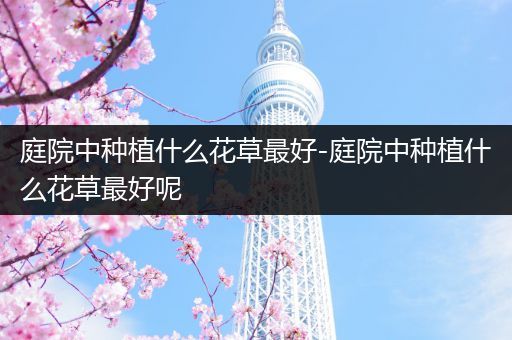 庭院中种植什么花草最好-庭院中种植什么花草最好呢