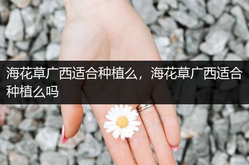 海花草广西适合种植么，海花草广西适合种植么吗