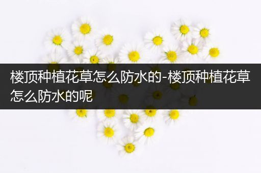 楼顶种植花草怎么防水的-楼顶种植花草怎么防水的呢