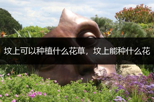 坟上可以种植什么花草，坟上能种什么花