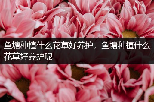 鱼塘种植什么花草好养护，鱼塘种植什么花草好养护呢