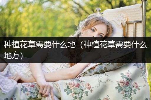 种植花草需要什么地（种植花草需要什么地方）
