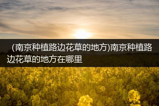 （南京种植路边花草的地方)南京种植路边花草的地方在哪里