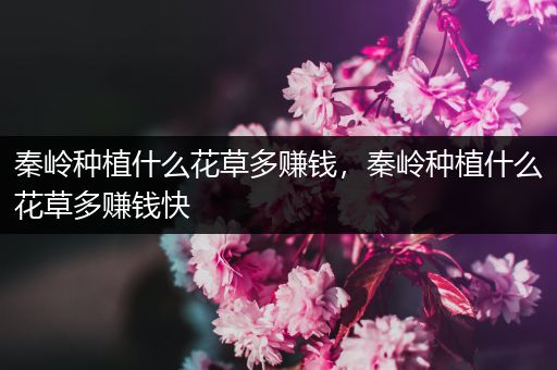 秦岭种植什么花草多赚钱，秦岭种植什么花草多赚钱快