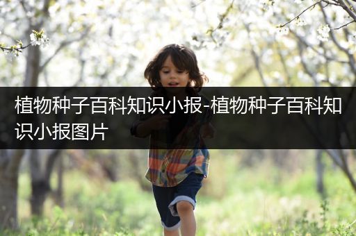 植物种子百科知识小报-植物种子百科知识小报图片