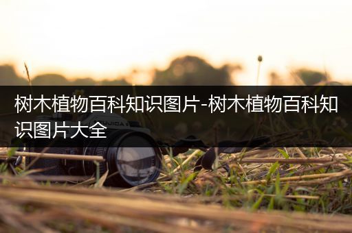 树木植物百科知识图片-树木植物百科知识图片大全