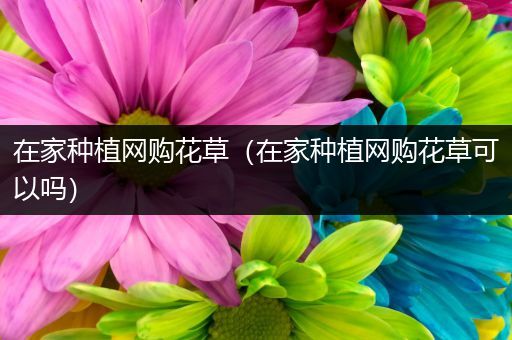 在家种植网购花草（在家种植网购花草可以吗）