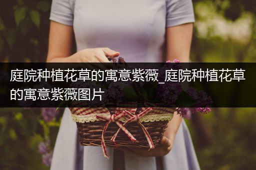 庭院种植花草的寓意紫薇_庭院种植花草的寓意紫薇图片