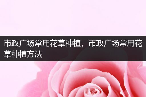 市政广场常用花草种植，市政广场常用花草种植方法