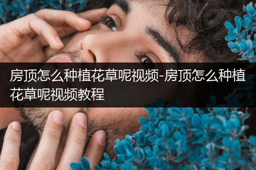 房顶怎么种植花草呢视频-房顶怎么种植花草呢视频教程