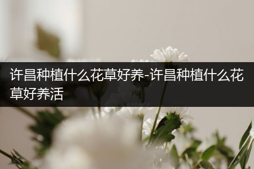 许昌种植什么花草好养-许昌种植什么花草好养活