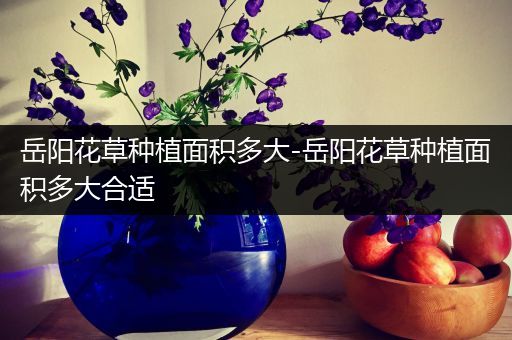 岳阳花草种植面积多大-岳阳花草种植面积多大合适