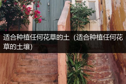 适合种植任何花草的土（适合种植任何花草的土壤）