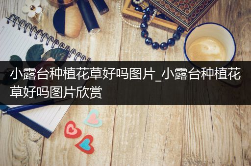 小露台种植花草好吗图片_小露台种植花草好吗图片欣赏