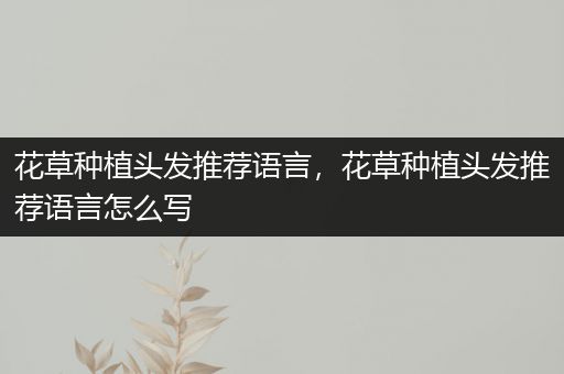 花草种植头发推荐语言，花草种植头发推荐语言怎么写