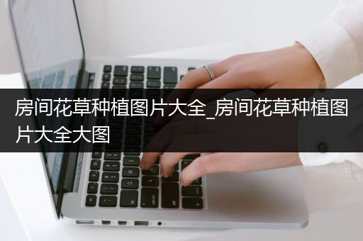 房间花草种植图片大全_房间花草种植图片大全大图