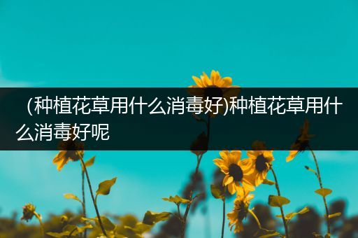 （种植花草用什么消毒好)种植花草用什么消毒好呢