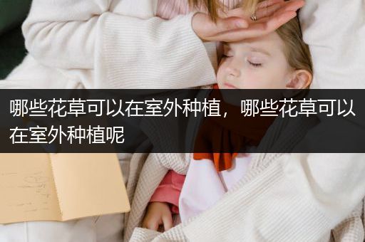 哪些花草可以在室外种植，哪些花草可以在室外种植呢