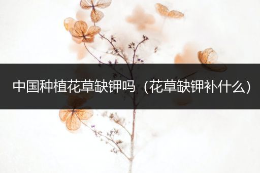 中国种植花草缺钾吗（花草缺钾补什么）