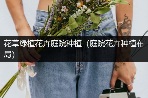 花草绿植花卉庭院种植（庭院花卉种植布局）