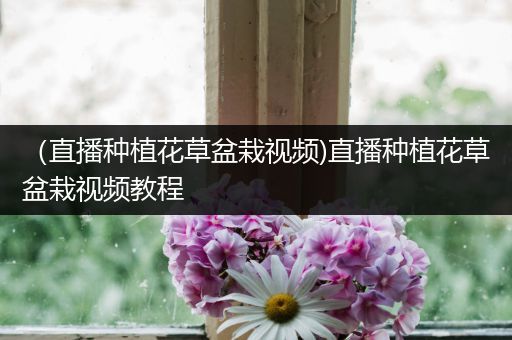 （直播种植花草盆栽视频)直播种植花草盆栽视频教程