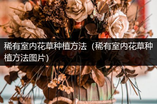 稀有室内花草种植方法（稀有室内花草种植方法图片）