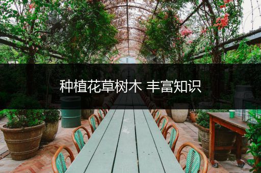 种植花草树木 丰富知识