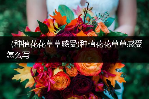 （种植花花草草感受)种植花花草草感受怎么写
