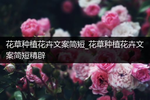 花草种植花卉文案简短_花草种植花卉文案简短精辟