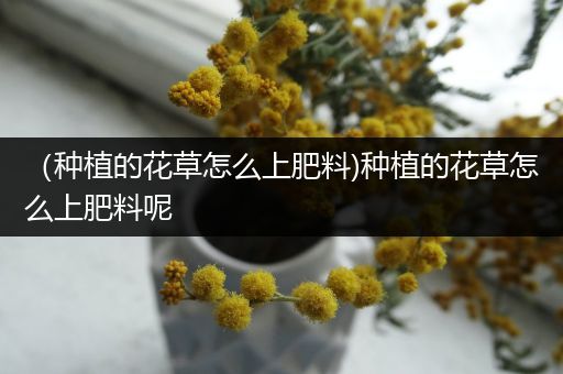 （种植的花草怎么上肥料)种植的花草怎么上肥料呢