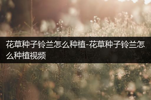 花草种子铃兰怎么种植-花草种子铃兰怎么种植视频