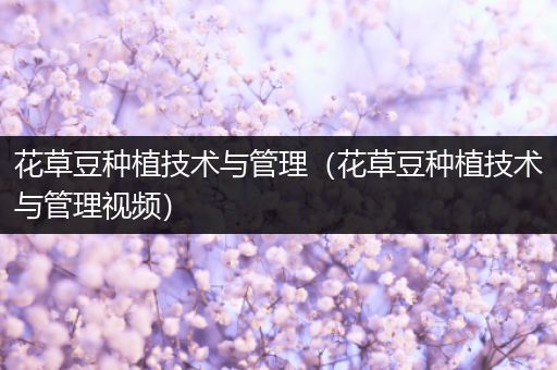 花草豆种植技术与管理（花草豆种植技术与管理视频）