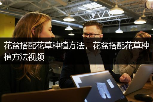 花盆搭配花草种植方法，花盆搭配花草种植方法视频