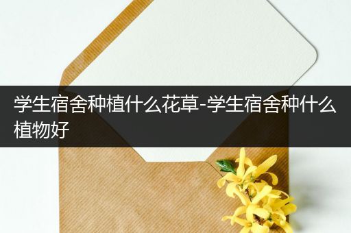 学生宿舍种植什么花草-学生宿舍种什么植物好