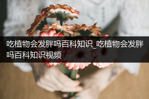 吃植物会发胖吗百科知识_吃植物会发胖吗百科知识视频