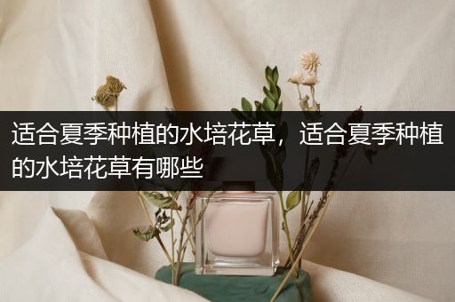 适合夏季种植的水培花草，适合夏季种植的水培花草有哪些