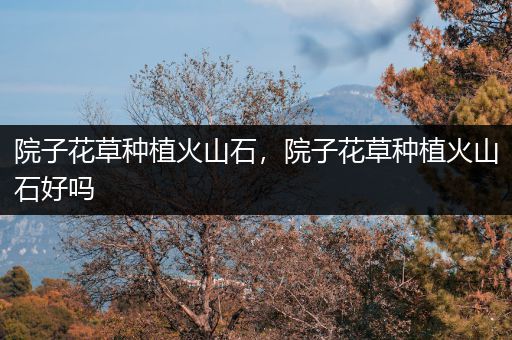 院子花草种植火山石，院子花草种植火山石好吗