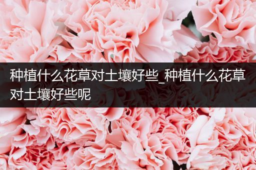 种植什么花草对土壤好些_种植什么花草对土壤好些呢