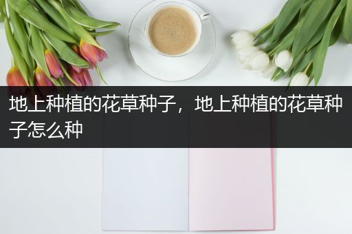 地上种植的花草种子，地上种植的花草种子怎么种