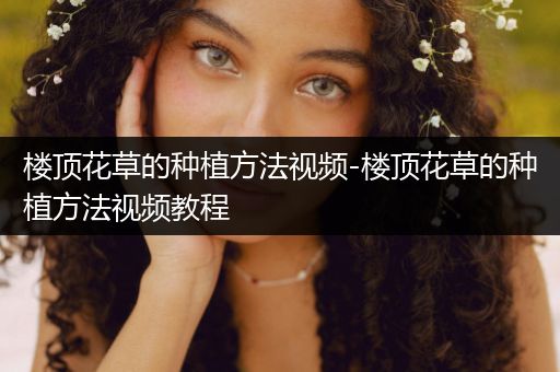 楼顶花草的种植方法视频-楼顶花草的种植方法视频教程
