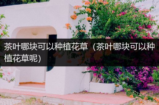 茶叶哪块可以种植花草（茶叶哪块可以种植花草呢）