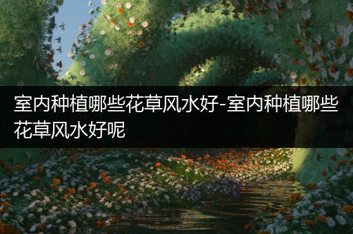 室内种植哪些花草风水好-室内种植哪些花草风水好呢