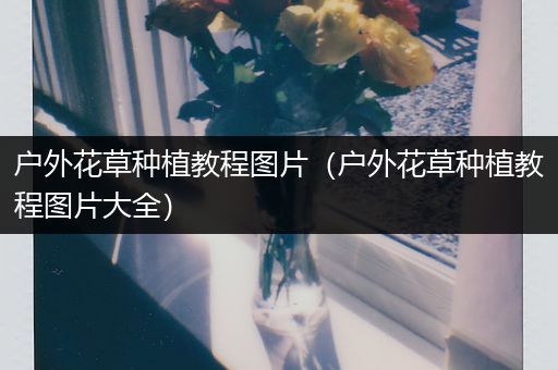 户外花草种植教程图片（户外花草种植教程图片大全）
